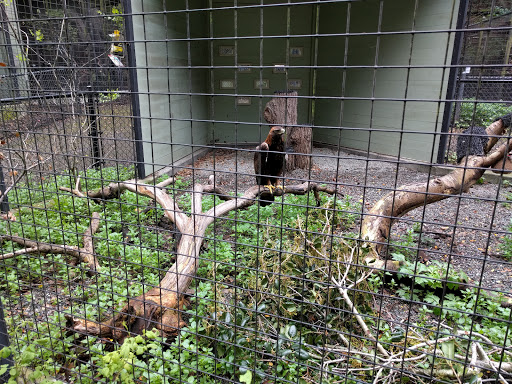 Sulphur Creek Nature Center - Thumbnail