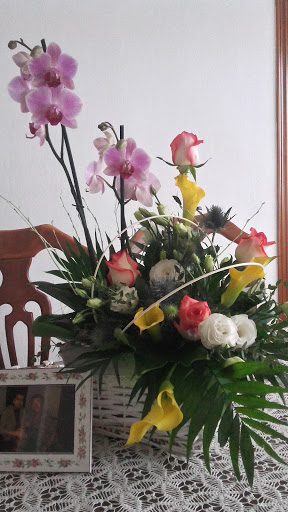 Les Floretes - Visual