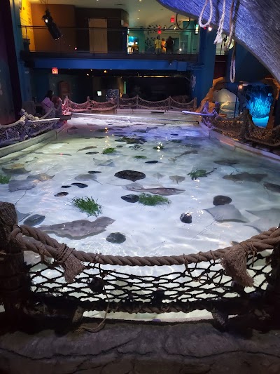 SEA LIFE at Mall of America