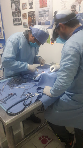 Clinica veterinaria Imperial CANIN