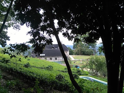 park