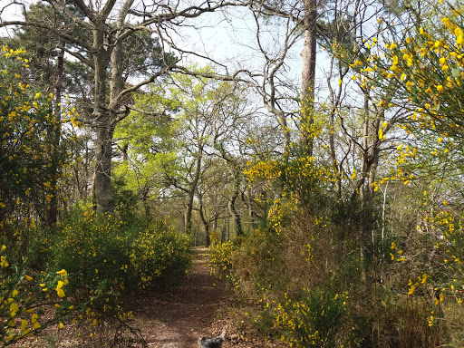 Parc de la Chêneraie - Thumbnail