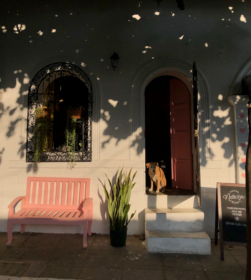 Narcisa Vegan Bakery — photo 19