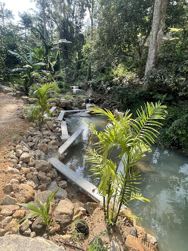 Samui JUNGLE X-QUAD