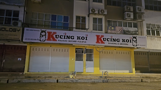 Kucing Koi