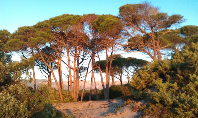 Plage Pinarello