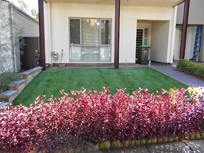 Photos of Australian Synthetic Lawns