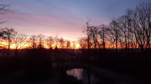 Ferienhof Rixte - Alwin Janssen - Thumbnail