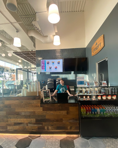 Nautical Bowls by null