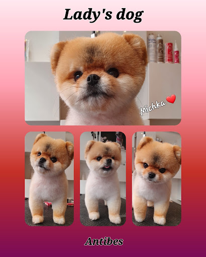 Lady's Dog - Thumbnail