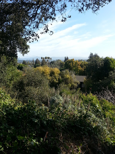 United Methodist Church Of Santa Cruz - Thumbnail