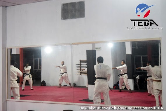 Total Extreme Budo Academy, Author: Total Extreme Budo Academy