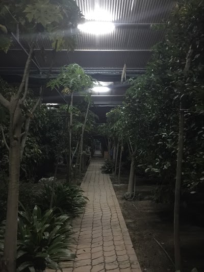 Photos of AlMaasah Farm