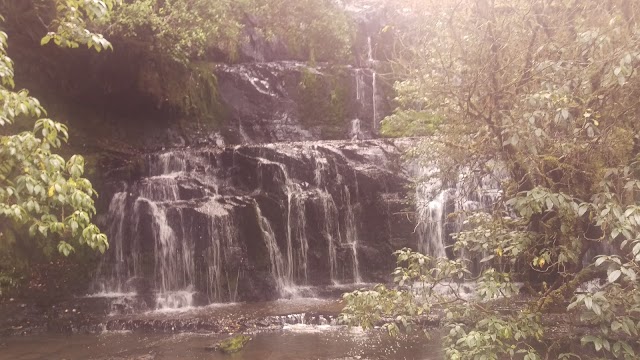 Purakaunui Falls Walk