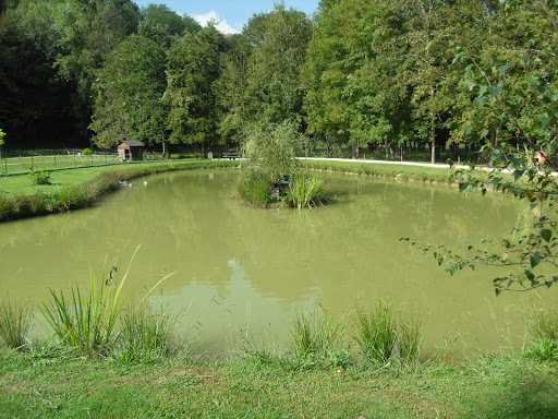 camping bélair - Thumbnail