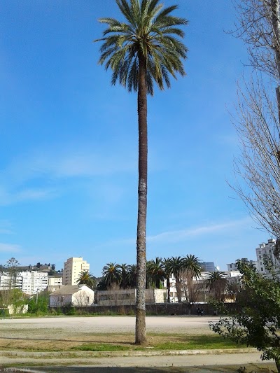 Photos of School Saint Augustin