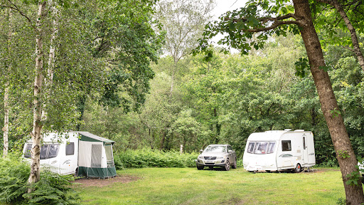 Graffham Camping and Caravanning Club Site - Thumbnail