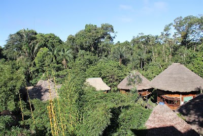 Photos of ECUADOR AMAZON JUNGLE TOURS
