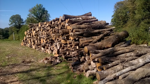 Photo de SOLECOBOIS à Guéret (23000)
