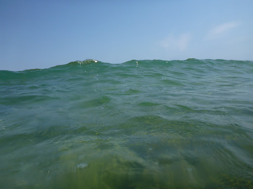 Wears Whitstable - Thumbnail