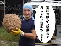 蜂駆除屋さん ふじみ野支店