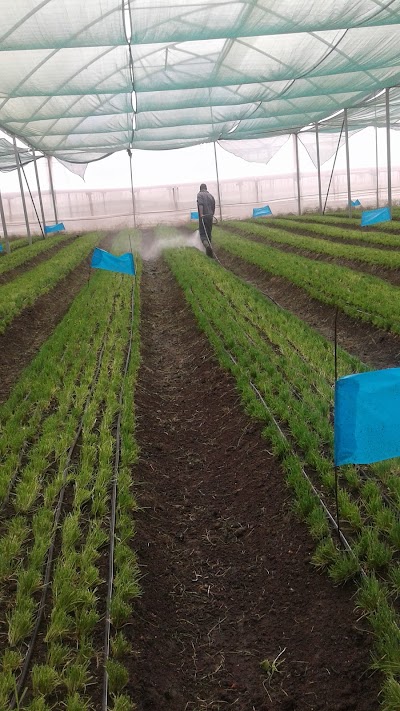 Photos of Evergreen Crops Ltd