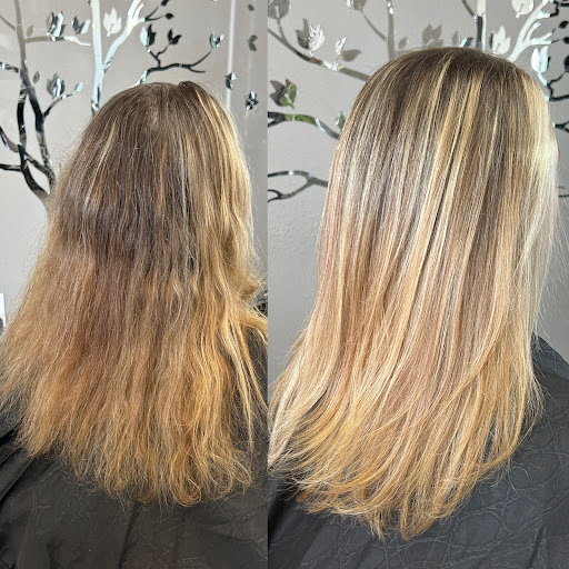 Vegas Hair Color Masters - Thumbnail