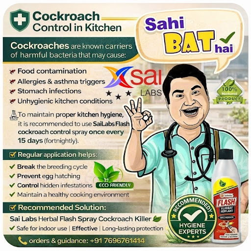 Cockroach Control in Kitchen Areas