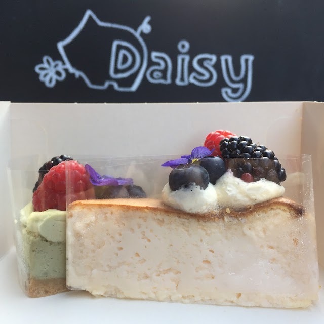 DAISY