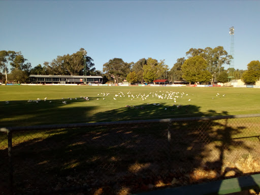 Benalla Saints Football Netball Club - Thumbnail