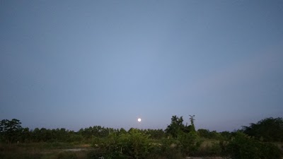 Photos of Campo Tarotaro