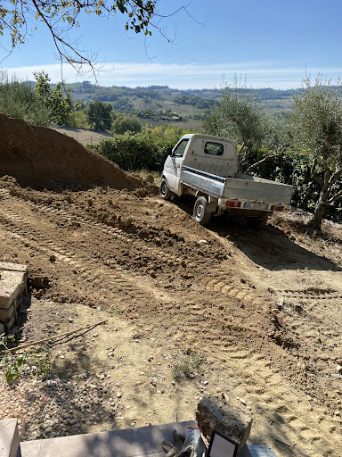 L.f.m. giardini - Visual