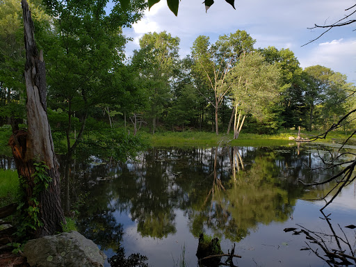 Field 1 - Veteran's Memorial Park - Thumbnail