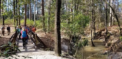 Kisatchie Hills Wilderness