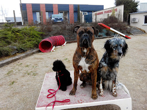 Photo n°5 de Objectif'Educ / Riaud Nicolas à Mainvilliers (Dresseur pour chiens)