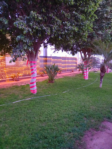 Finca Millan - Visual