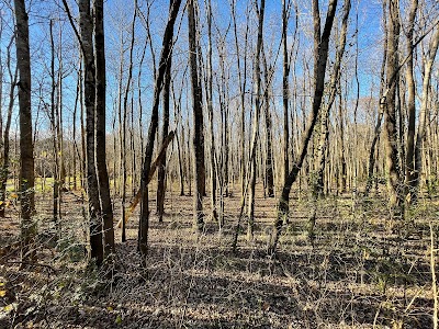 Cypress Grove Nature Park