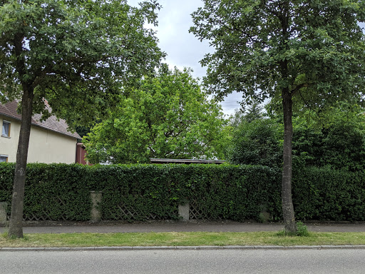 Hundefriseur Steinheim am Albuch - Thumbnail