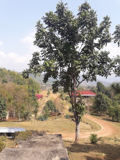 Photos of ຮ້ານອາຫານ ວັງຫລວງ