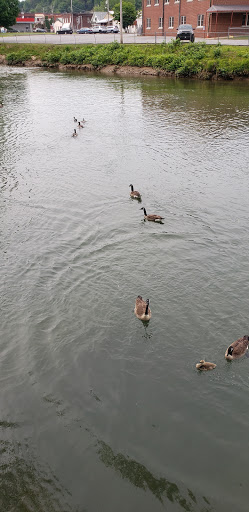 McCaysville City Park (formerly, Toccoa River Park) - Thumbnail