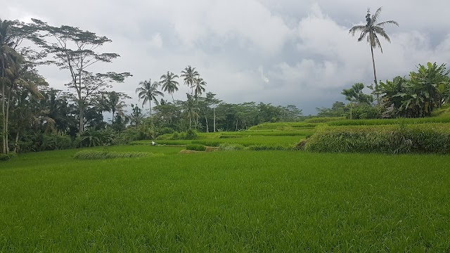 Tibumana Waterfall