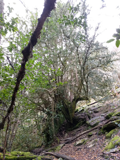 Brañarronda - Visual
