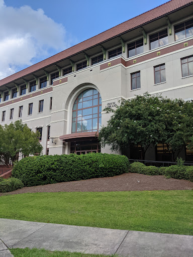 Odum Library - Visual
