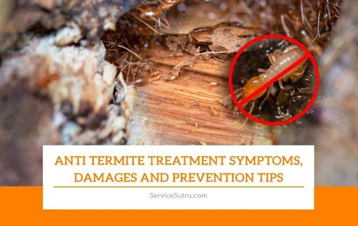 https://coomarservices.com/termite-control