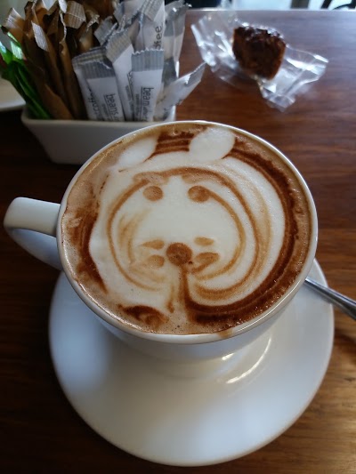 Photos of Beans About Coffee