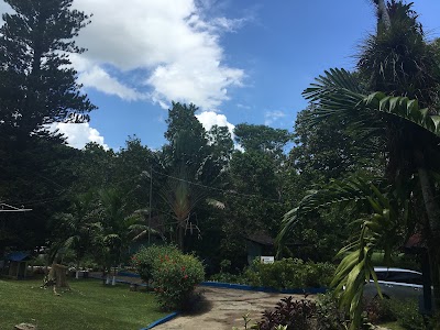 Photos of Martha Brae Rafting Village