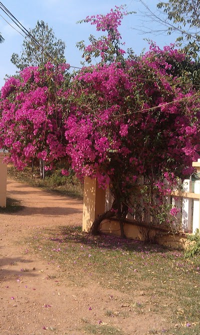 Photos of Vanna Bungalow