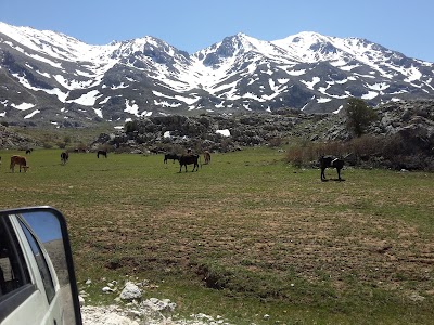 Photos of Arslantaş İlkokulu