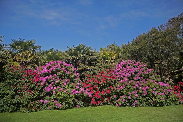 Jardin Botanique de Vauville