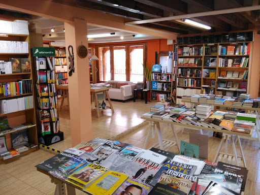 Librería Ícaro (Segovia)